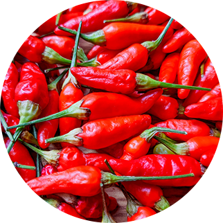 名護産 島唐辛子